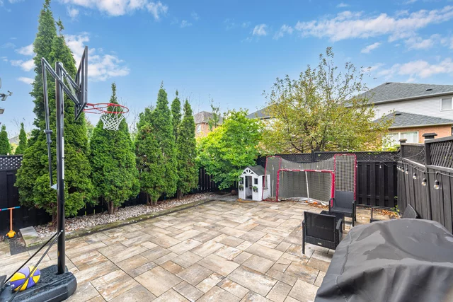 53.jpg
