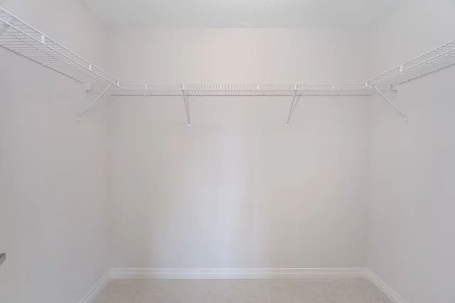 50.jpg