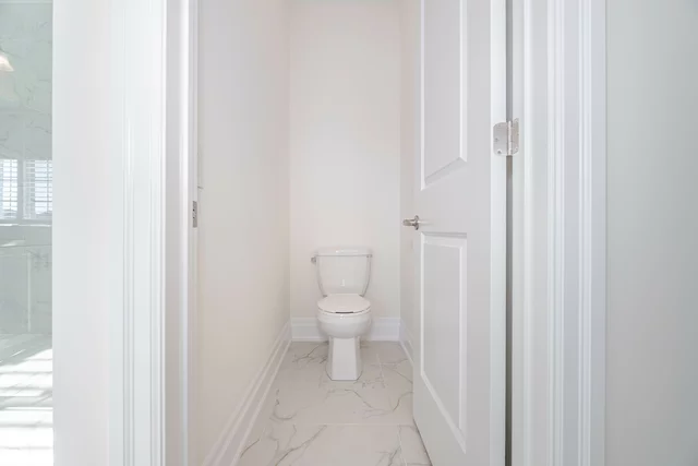 66.jpg