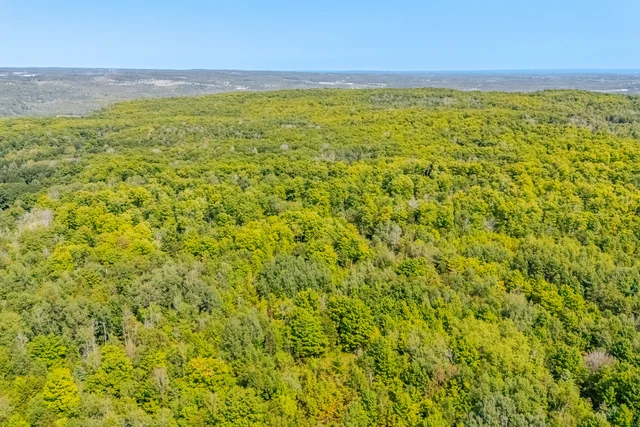 16735 Mississauga Road, Terra Cotta - photo 88