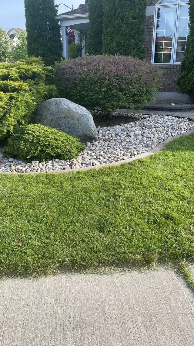 image9.jpeg