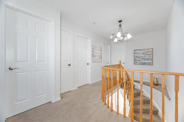 50.jpg