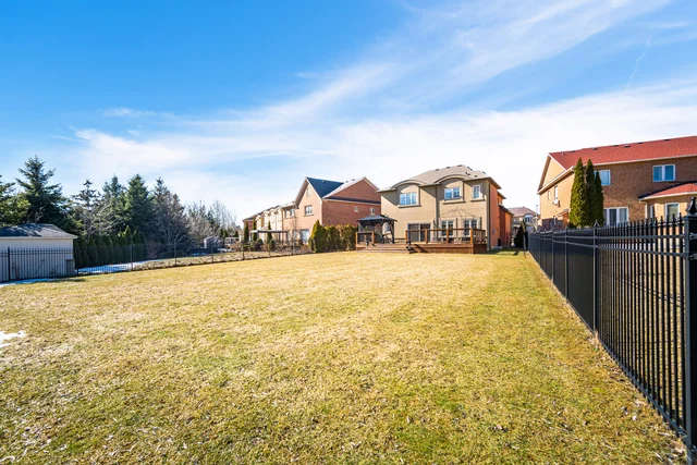 81.jpg