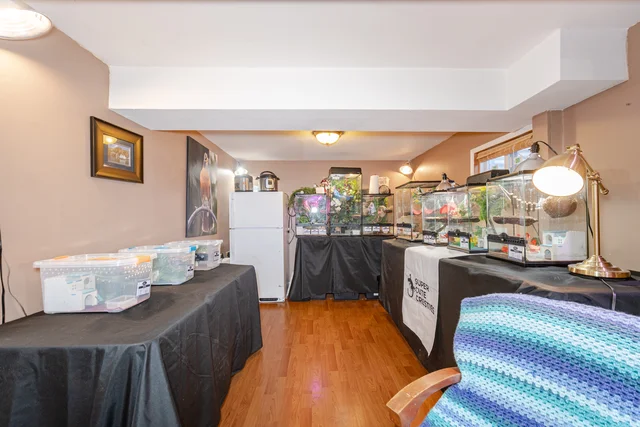 326 Bartley Bull Parkway, Brampton - photo 38