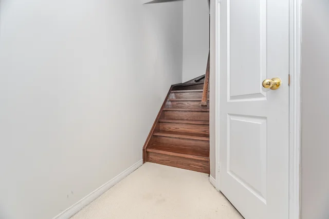69 Evelyn Buck Lane, Aurora - photo 28