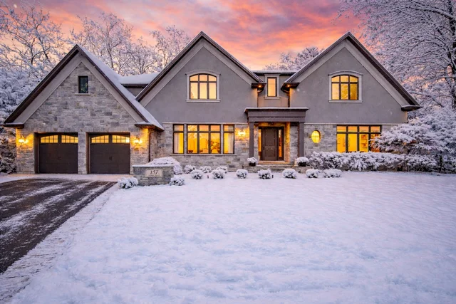 1 Snow- Dianne 3.png