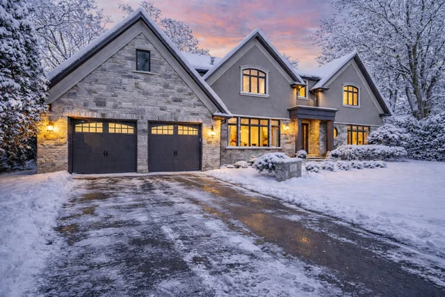 Snow second image.png