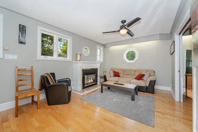 141 Elm Street, Collingwood - photo 13