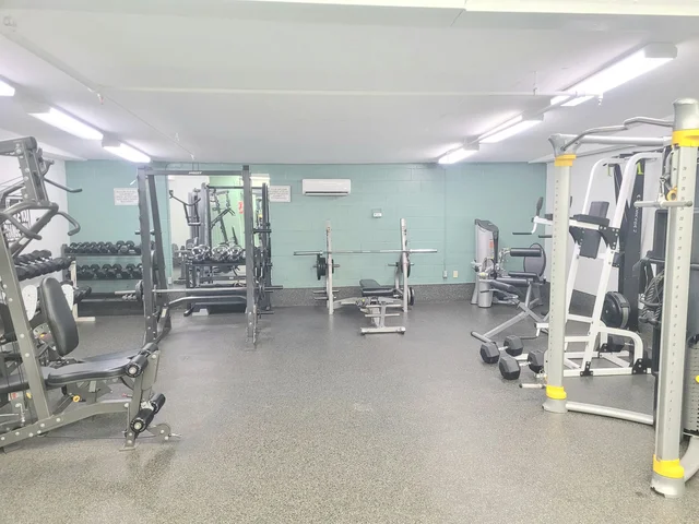 Gym with Free Weights.jpg