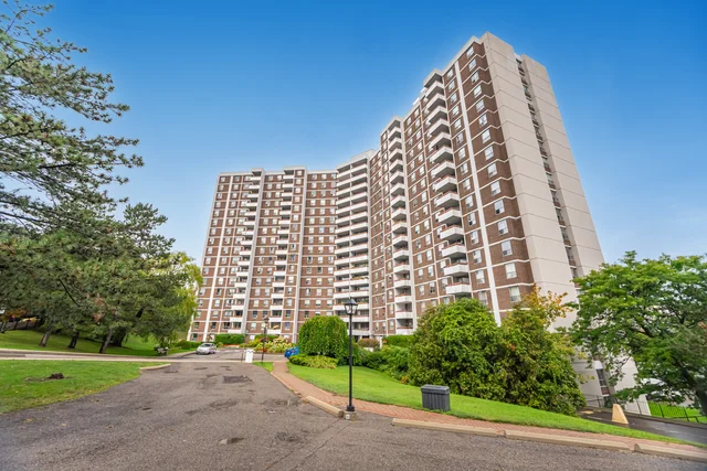 50.jpg