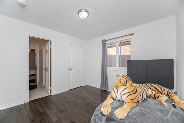 60.jpg