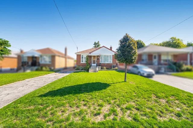 21a.jpg