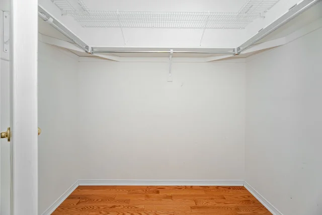 50.jpg