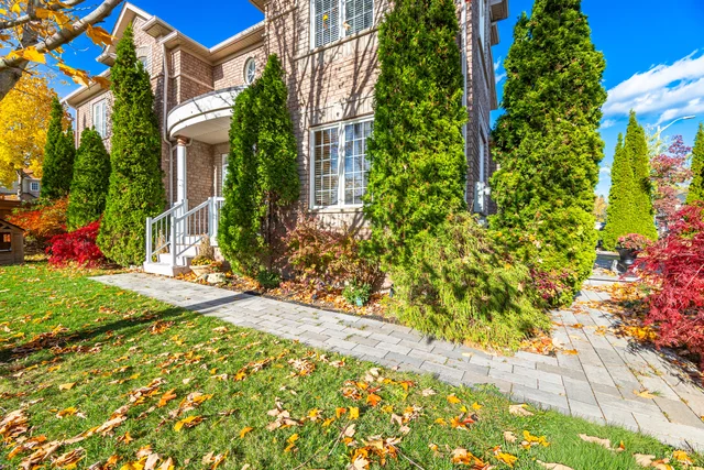 27 SHADOW VID 27.jpg