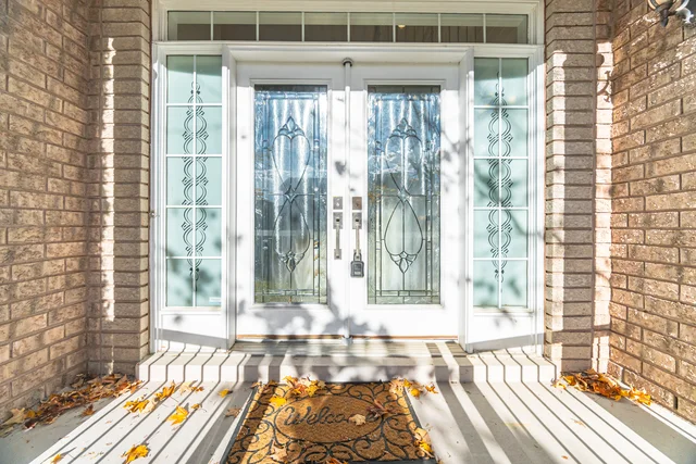 29 SHADOW VID 29.jpg