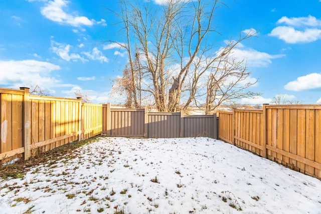58.jpg