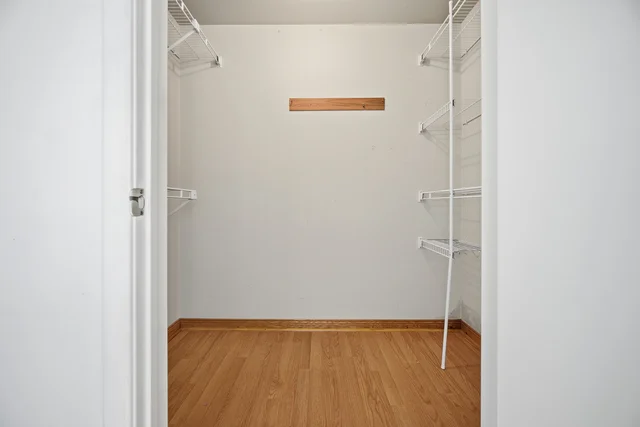 55.jpg