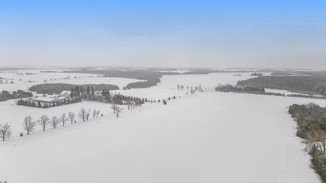 97.jpg