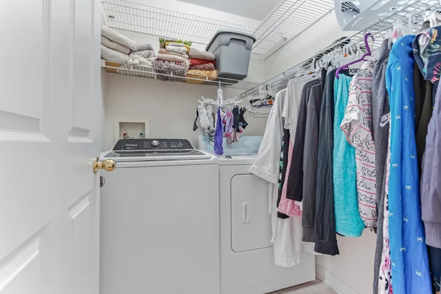 79.jpg