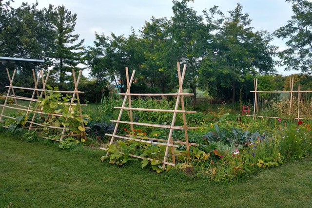 Garden.jpg