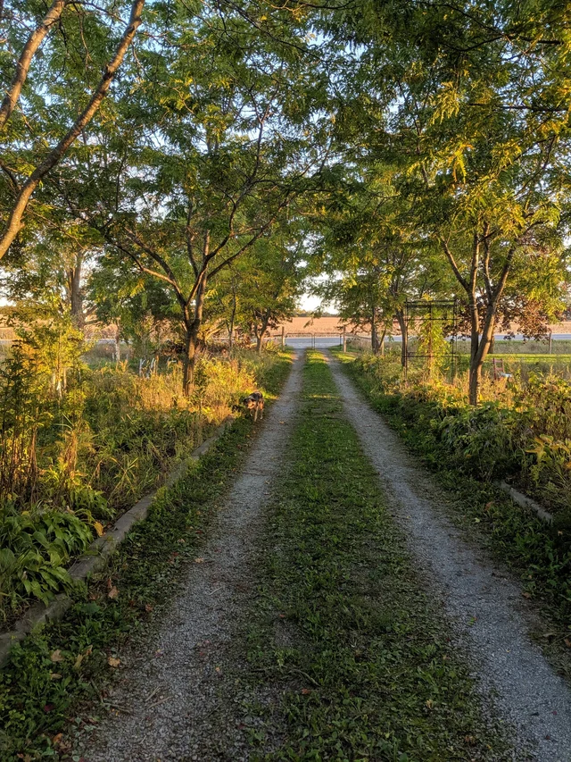 IMG_20191008_181241.jpg