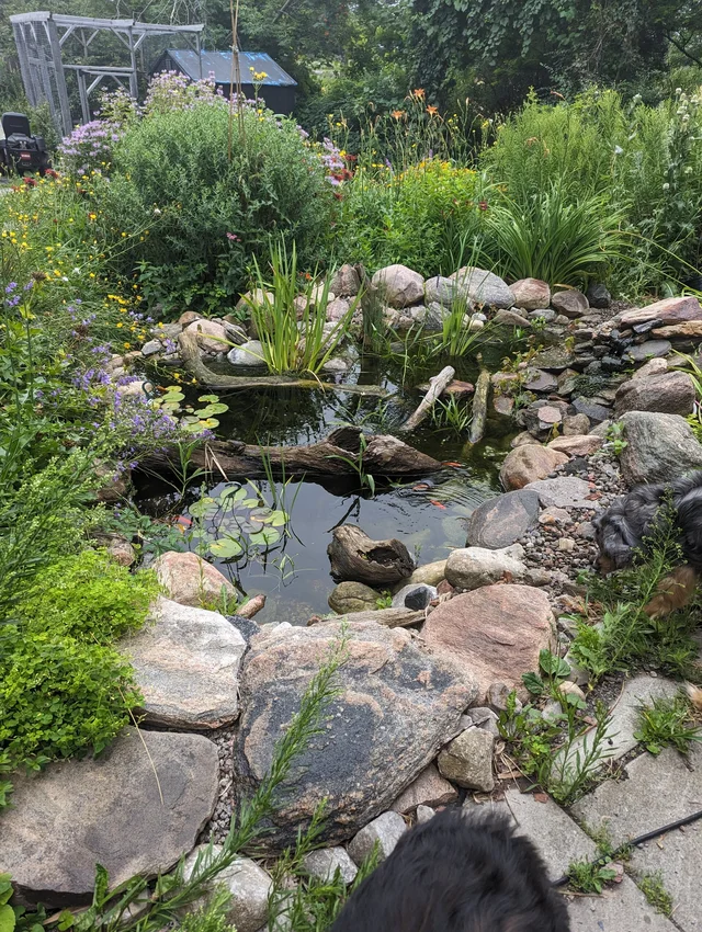 PXL_20230808_134420473.jpg