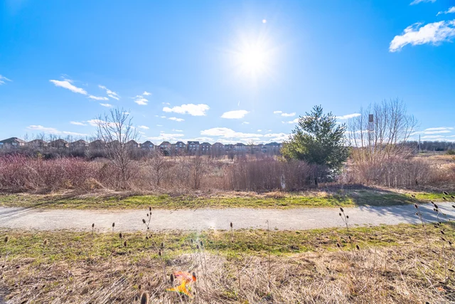38 Leadenhall Road, Brampton - photo 62