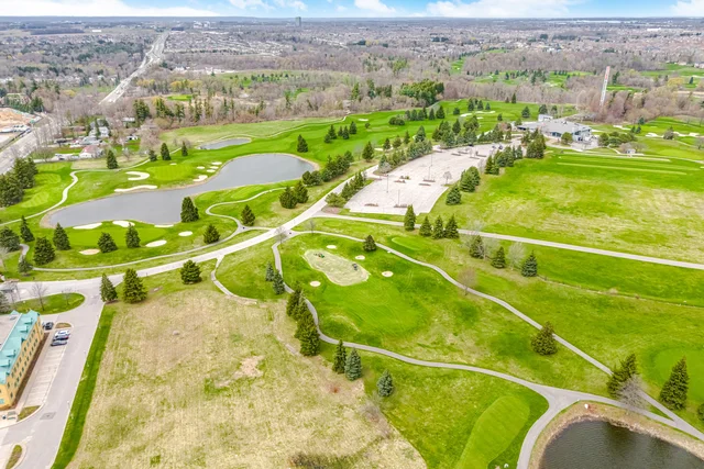 81.jpg
