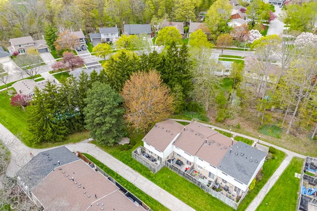 102.jpg