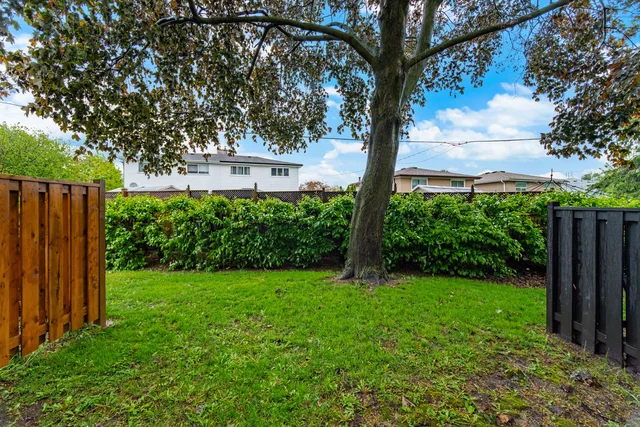 63.jpg