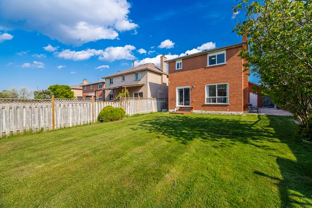83.jpg