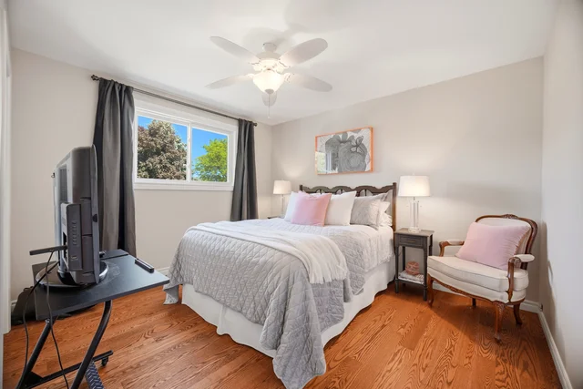 83.jpg