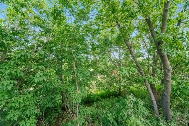 62 Lost Pond Crescent, Whitchurch-Stouffville - photo 66