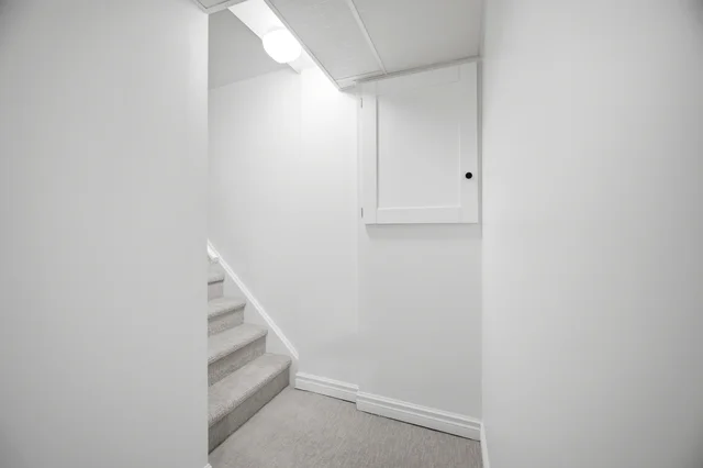 65.jpg