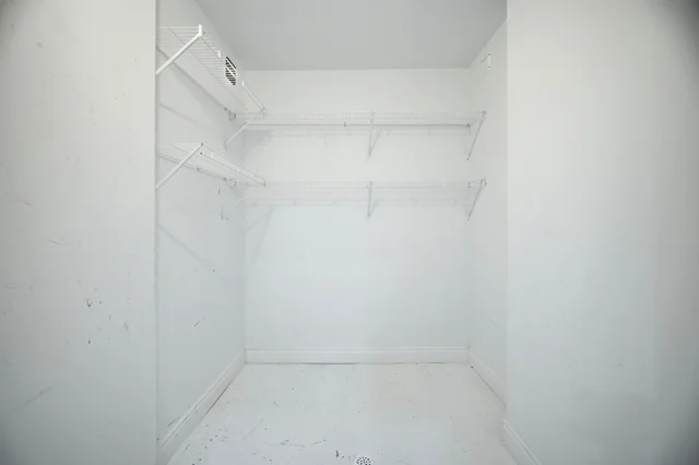 113.jpg