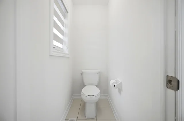 55.jpg
