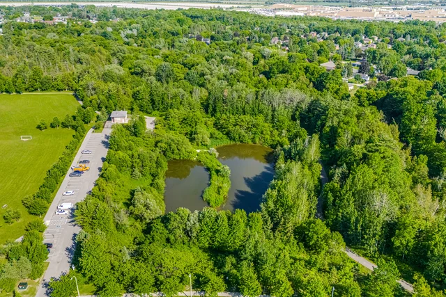 91.jpg