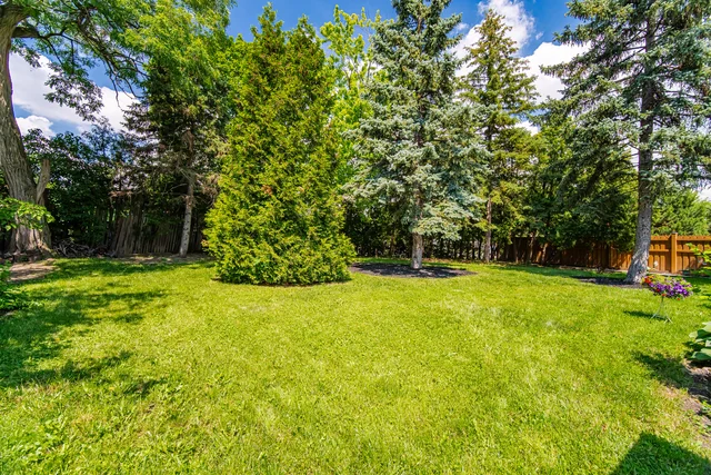 74 Ringway Crescent, Etobicoke - photo 72