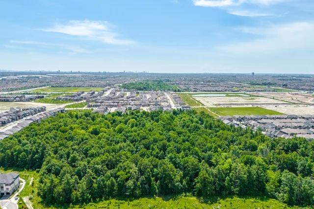 12362 McLaughlin Road, Caledon - photo 66