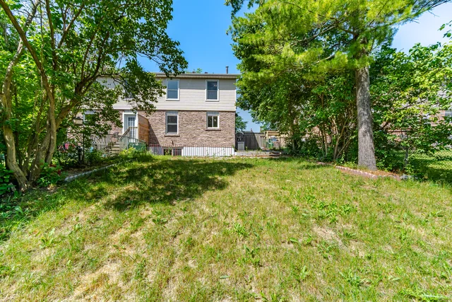 59.jpg