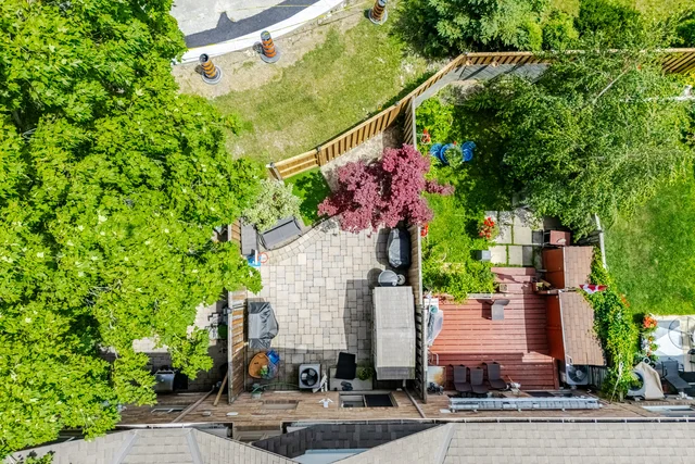56.jpg