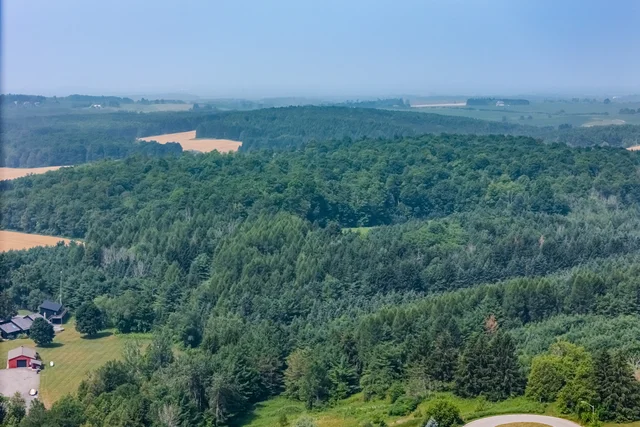 87.jpg