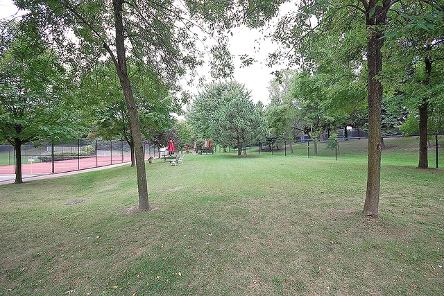 #411-1485 Lakeshore Road East, Mississauga - photo 50