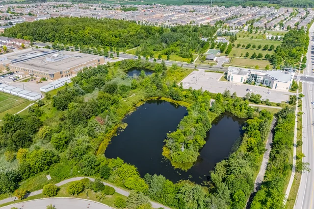 46 Fred Mclaren Boulevard, Markham - photo 60