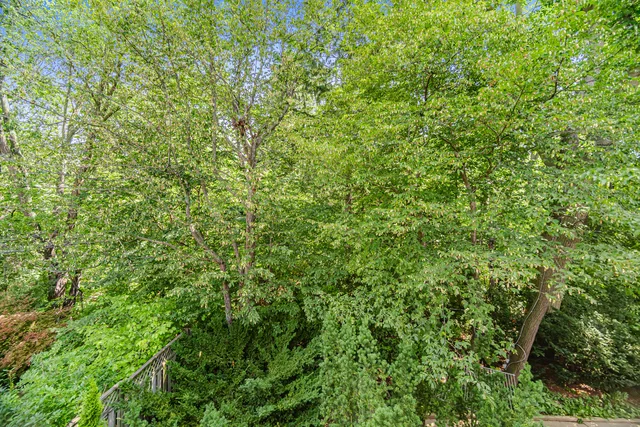9 Saguenay Avenue, Toronto - photo 51