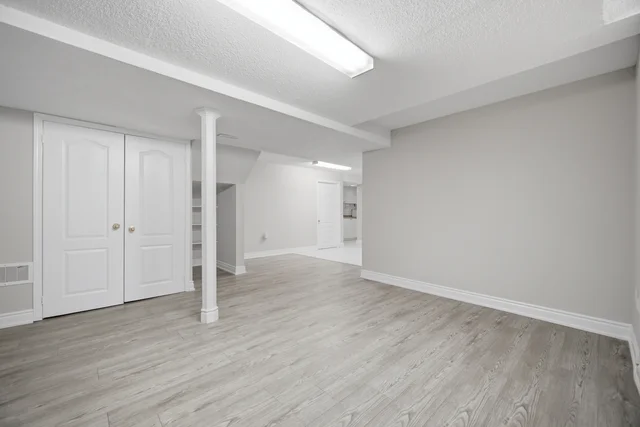 81.jpg