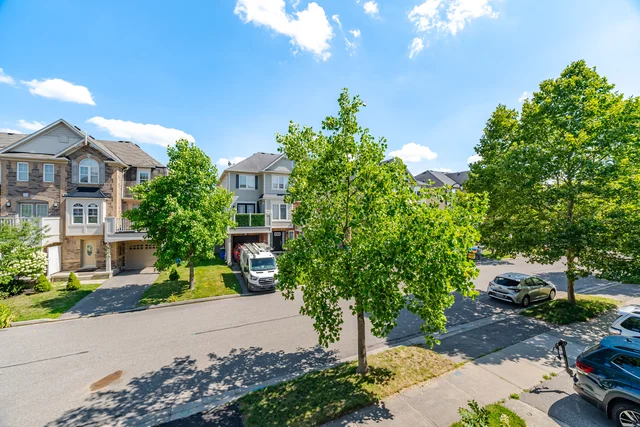 739 Challinor Terrace, Milton - photo 45