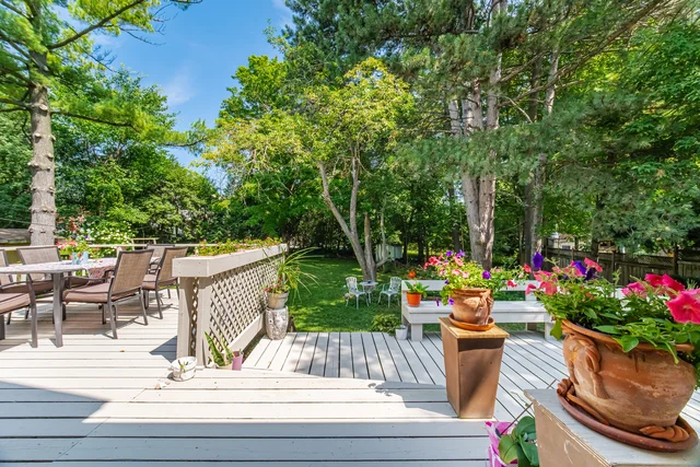10 Elmview Court, Etobicoke - photo 46