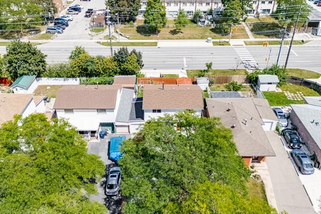 62.jpg