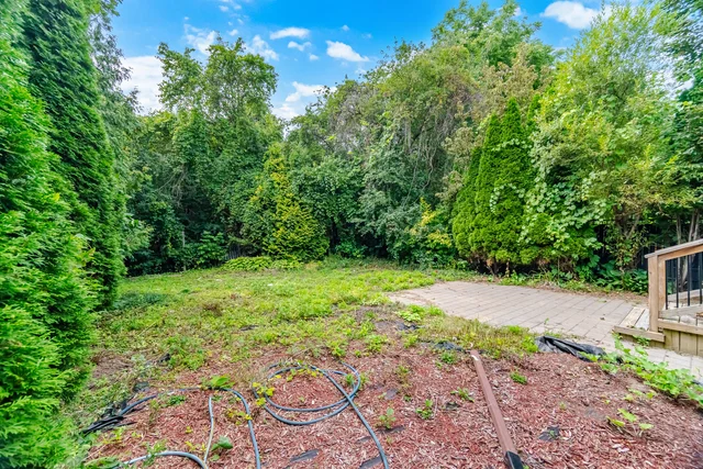 10 Hiram Road, Richmond Hill - photo 56